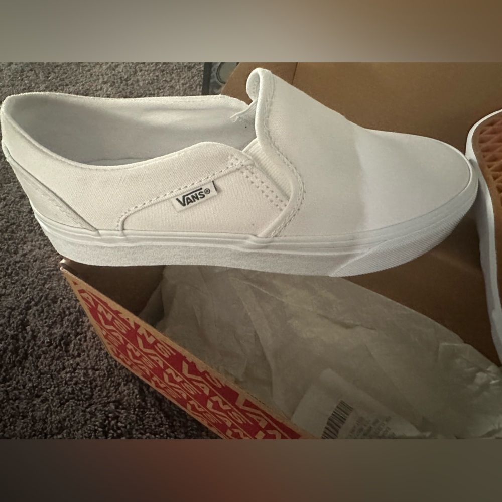 NWT: Vans Slip on Asher sneaker